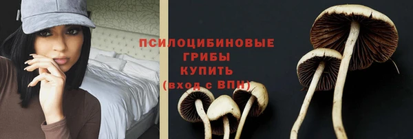 марихуана Дмитровск