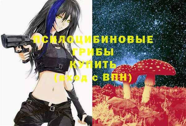 прущая мука Дмитров